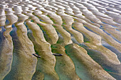 Aerial view of people crossing a serene sandbar with beautiful patterns and textures in the water, Nikrail Union, Bhuapur, Dhaka, Bangladesh.