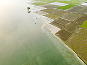 Aerial view of beautiful agriculture fields with serene water reflections and lush greenery, Islampur, Bangladesh.