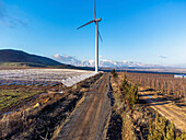 Luftaufnahme eines Windkraftanlagenparks in einem Ackerland, Golanhöhen, Israel.