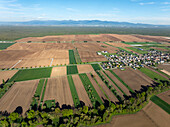 Luftaufnahme von bewirtschafteten Feldern, einem kleinen Dorf und entfernten Bergen unter einem klaren blauen Himmel, der einen Flickenteppich aus erdigen Braun- und leuchtenden Grüntönen in Wittenheim, Grand Est, Frankreich, bildet.