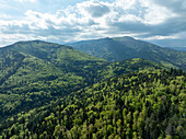 Luftaufnahme eines üppigen, grünen Waldes, der sanfte Hügel unter einem hellen, teilweise bewölkten Himmel bedeckt, der einen lebendigen Wandteppich der Schönheit der Natur in Thann, Elsass, Frankreich, bildet.