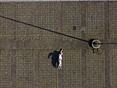 Aerial view of a solitary figure basks in the afternoon sun, casting long shadows across the patterned cobblestone of the piazza, Alessandria, Italy.