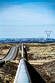 View of a silver pipeline snaking across the stark, golden Icelandic landscape alongside a road under a vast sky, Nesjavellir, Grímsnes- og Grafningshreppur, Iceland.
