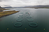 Luftaufnahme von kreisförmigen Fischfarmen, die unter einem wolkenverhangenen Himmel auf dem düsteren Wasser treiben, eine Mischung aus Industrie und der rauen Schönheit der Natur, Dj?pivogur, M?la?ing, Island.