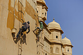 View of men scaling a golden fortress wall, suspended by ropes, painting with care under the bright sky, their figures stark against the ancient stone, Jaipur, Rajasthan, India.