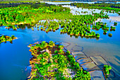 Aerial view of vibrant green vegetation juxtaposed with the reflective blue waters, creating a mesmerizing tapestry of natural beauty, Bolo Town, Rivers, Nigeria.