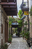 View of a narrow cobblestone street lined with stone buildings and vibrant green plants creating a charming pathway, Pano Lefkara, Larnaca, Cyprus.