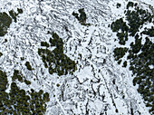 Aerial view of snow-dusted evergreens and rugged, frosted terrain create a stark, contrasting tapestry of winter's embrace, Slope of the volcano Etna, Sicily, Italy.