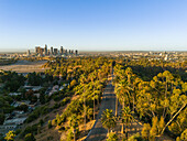 Aerial view of palm trees lining the road towards the distant skyline of the city, basking in the golden light of dawn, Los Angeles, California, United States.