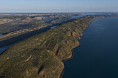 Aerial view of the rugged coastline meeting the tranquil sea, the Mitchell Plateau's raw beauty unfolds in a tapestry of greens and blues, Mitchell Plateau, Western Australia, Australia.