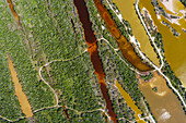 Aerial view of vibrant, rust-colored waters meandering through dense green forests and pale, sandy banks, creating a striking contrast of natural hues, Merida, Yucatan, Mexico.