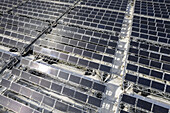 Aerial view of a sprawling solar panel farm, reflecting the sun's glare in geometric patterns, creating a stark contrast against the light ground, location omitted.