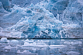 View of icy blue glacier towers above the cold, still water dotted with floating icebergs, creating a stark, frozen landscape, Svalbard and Jan Mayen.