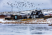 View of a dark, cozy home nestled in a snowy landscape, with birds flying overhead, next to a frozen lake in Iceland, Grundarfjörður, Iceland.