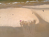 Luftaufnahme des Sandstrandes, der auf das Meer trifft, eine ruhige Szene mit Menschen, die die Weite des Ufers genießen, Amsterdam, Nordholland, Niederlande.