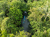 Aerial view of a boat navigating a narrow river channel, embraced by dense, verdant jungle canopy, Siargao Island, Caraga, Philippines.