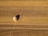 Aerial view of a single hay bale casting a long shadow over the golden stubble of a harvested field, Brüssow, Brandenburg, Germany.