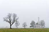 Blick auf eine Kirche mit einem hohen Turm und kahlen Bäumen, die sich im Nebel abheben, in einem Feld mit grünem Gras, Schwangau, Bayern, Deutschland.