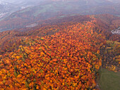 Luftaufnahme des feurigen Herbstlaubs, das in leuchtenden Orange- und Gelbtönen erstrahlt und einen faszinierenden Wandteppich in der Landschaft bildet, Bansk? Bystrica, Region Bansk? Bystrica.