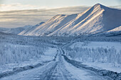View of an endless, snow-laden road cuts through a frosted forest towards majestic, snow-capped mountains under a soft, cold sky, Magadan Oblast, Russia.