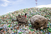 Chittagong, Bangladesh - 22 September 2022: View of a vast mountain of discarded plastic bottles and trash under a blue sky, with a person amidst the waste.