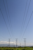 View of power lines stretching across a vibrant green landscape under a clear blue sky, a scene of modern infrastructure against natural beauty, Suswa, Narok, Kenya.
