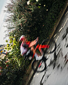 Paris, France - 27 July 2025: View of a cyclist of the Tour de France 2025 speeding past lush greenery, a blur of motion against the sun-drenched asphalt during Tour de France 2025.