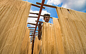 Bogura, Bangladesh - 28 May 2019: View of a man standing behind a frame displaying long, light-colored threads against a vibrant blue sky, creating a striking contrast of texture and tone.