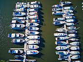 Luftaufnahme von vielen Booten, die ordentlich in einem Jachthafen angedockt sind. Das Wasser spiegelt den Himmel und schafft eine ruhige, symmetrische Szene, Drimmelen, Nord-Brabant, Niederlande.