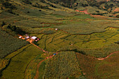 Aerial view of the green fields with lush vegetation and a small farm house, a tapestry of nature's artistry, San Enrique, Western Visayas, Philippines.