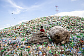 Chittagong, Bangladesh - 22 September 2022: View of a child amidst a vast, colorful mountain of discarded plastic bottles under a bright sky, contrasting with the muted tones of bundled waste.