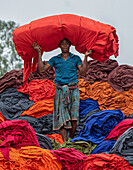 Sirajganj, Bangladesh - 18 July 2020: View of a man amidst a vibrant landscape of colorful textiles, carrying a large bundle of red fabric on his shoulders.