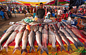 Bogura, Bangladesch - 17. November 2020: Blick auf einen lebhaften Fischmarkt mit einem Verkäufer, der eine Auslage mit glitzerndem Fisch auf einem rot-gelben Tisch beaufsichtigt.