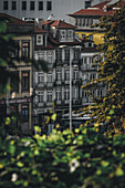 Porto, Portugal - 17. Juni 2022: Blick auf gealterte Gebäude mit verschlungenen Fassaden, warmen Terrakotta-Dächern und cremefarbenen Wänden, die durch tiefgrünes Laub kontrastiert werden und ein strukturiertes, zeitloses Bild ergeben.