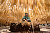 Bogura, Bangladesh - 28 May 2019: View of a woman amidst a golden cascade of drying semai noodles, crafting delicate bundles in a mesmerizing display of tradition and labor..