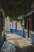 View of a cobblestone street winding through quaint buildings with blue trim, and vibrant green foliage overhead, Koskinou, Rodhes, Greece.