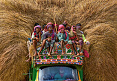 Bogura, Bangladesh - 04 August 2017: View of a vibrantly decorated truck overloaded with straw, carrying men perched atop, their faces a mix of fatigue and resilience.