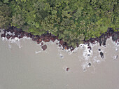 Luftaufnahme der zerklüfteten Küstenlinie, wo der üppige, dichte Wald auf das stürmische Meer trifft, eine Symphonie aus Grün, Braun und Grau, Canacona, Goa, Indien.
