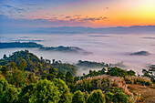Luftaufnahme von nebelverhangenen Hügeln und üppig grünen Wäldern, die auf einen strahlenden Sonnenaufgang treffen, der den Himmel in Orange- und Rosatönen färbt, Sajek, Chittagong Division, Bangladesch.