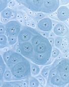 Aerial view of a frozen, abstract expanse, where icy patterns create ethereal shapes and textures under the cold winter sky, De Lutte, Overijssel, Netherlands.