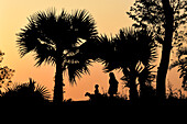 Bogura, Bangladesch - 05. Dezember 2016: Blick auf silhouettierte Figuren unter den kahlen, schwarzen Palmen vor dem warmen, verblassenden Sonnenuntergang, eine ruhige Szene des ländlichen Lebens.
