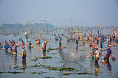 Polo, Bangladesh - 28 November 2023: View of a vibrant scene unfolds at Ruhul Bill in Bhangura, where the annual Polo fishing festival bursts with life and tradition.