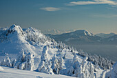 View of snow-laden trees clinging to the steep, sunlit slopes of the Velka Fatra mountains under a clear, cold sky, Žilina Region, Slovakia.