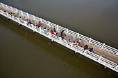 Aerial view of people in colorful clothes dotting a long white bridge over tranquil waters, a scene of everyday life unfolding from above, Karaikal, Puducherry, India.