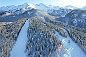 Aerial view of snow-laden ski slopes carving through dense evergreen forests, contrasting against the stark white peaks under a clear sky, Frais, Piemonte, Italy.