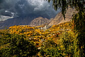 Die goldenen Farben des Herbstes färben die Bäume unter den zerklüfteten Bergen und dem stürmischen Himmel, eine atemberaubende Szene der rauen Schönheit der Natur, Hunza Nagar, Gilgit Baltistan, Pakistan.