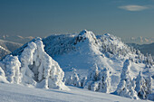 View of snow-laden trees and a striking mountain peak under a clear sky, a serene winter landscape in Velka Fatra mountains, Liptovské Revúce, Žilina Region, Slovakia.