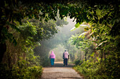 Bogura, Bangladesh - 11 November 2016: View of two figures walking along a misty, verdant path, framed by lush foliage, in a scene of serene and quiet beauty.