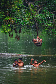 Bogura, Bangladesch - 13. September 2015: Blick auf Kinder, die fröhlich spielen und sich von einem Ast über einem Fluss schwingen, ihr Lachen hallt durch das üppige Grün.