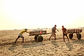 Cox's Bazar, Bangladesh - 07 March 2022: View of three men pulling carts laden with silver catch across the golden sands, under a hazy sky, a tableau of labor and tradition.